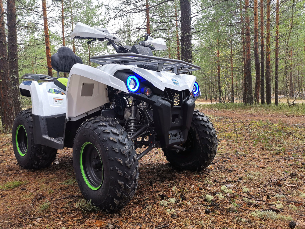 Квадроцикл PROMAX RENEGADE 280 (2025) в Норильске