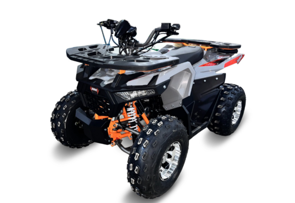 Квадроцикл GBM DAXTER 220 NEW PREMIUM в Норильске