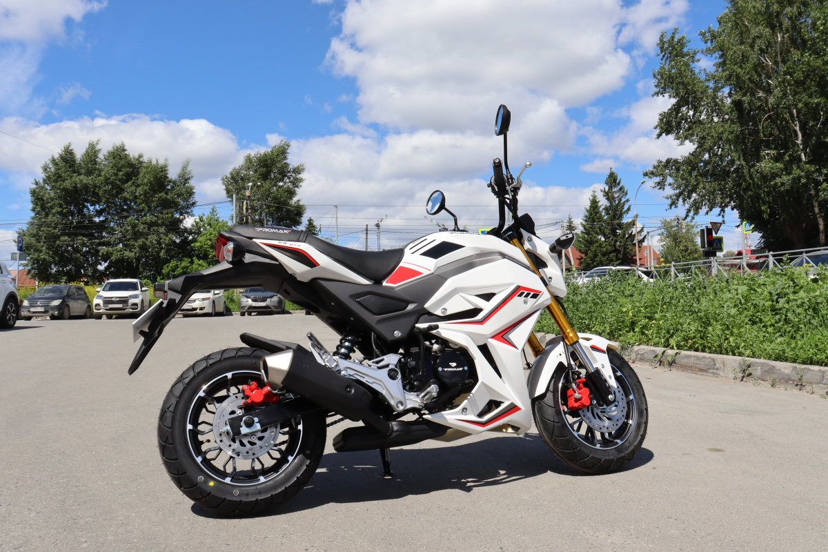 Мотоцикл PROMAX STRYKER 200(49) 2.0 в Норильске