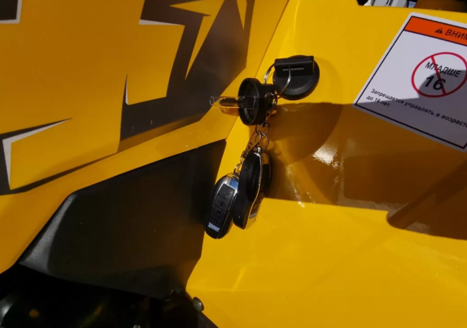 Квадроцикл MOTOLAND (МОТОЛЕНД) VOX200 WILD TRACK X PRO (баланс. вал) в Норильске