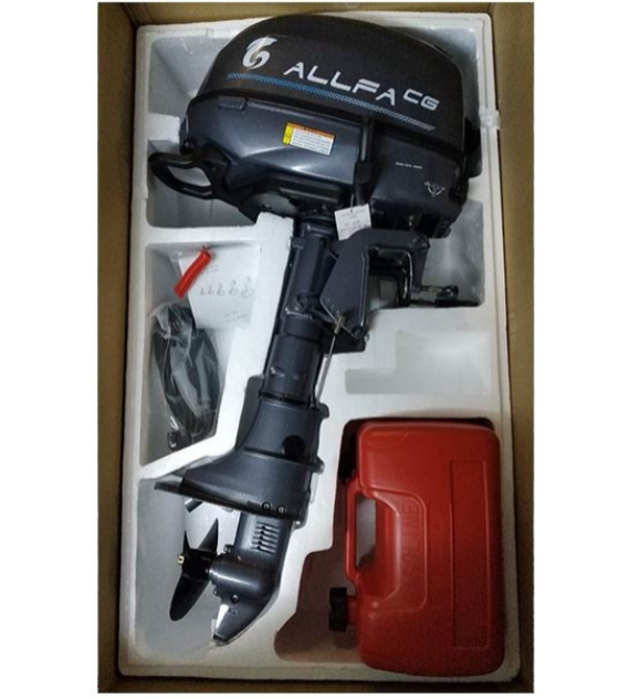 Лодочный мотор ALLFA CG F6 в Норильске