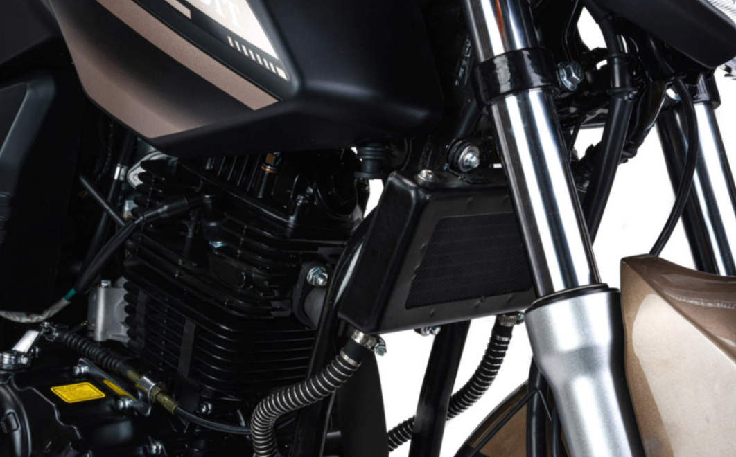 Мотоцикл MOTOLAND (МОТОЛЕНД) 300 BANDIT в Норильске