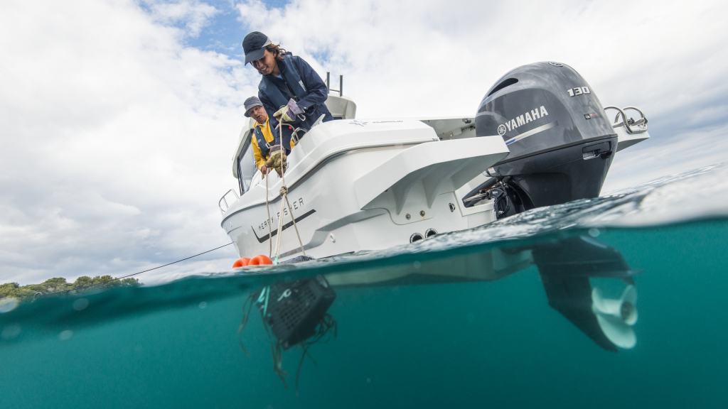 ЛОДОЧНЫЙ МОТОР YAMAHA F130 AETX в Норильске