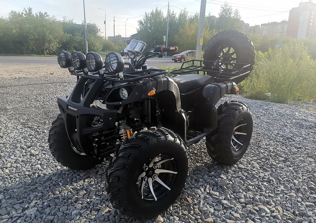 Квадроцикл PROMAX LEO 300 Max (кардан) в Норильске