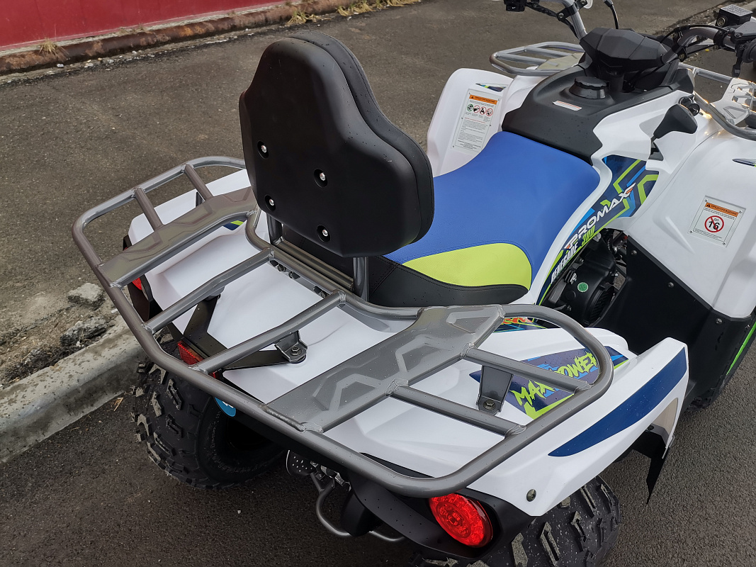 Квадроцикл PROMAX RENEGADE 280 LUX (2025) в Норильске