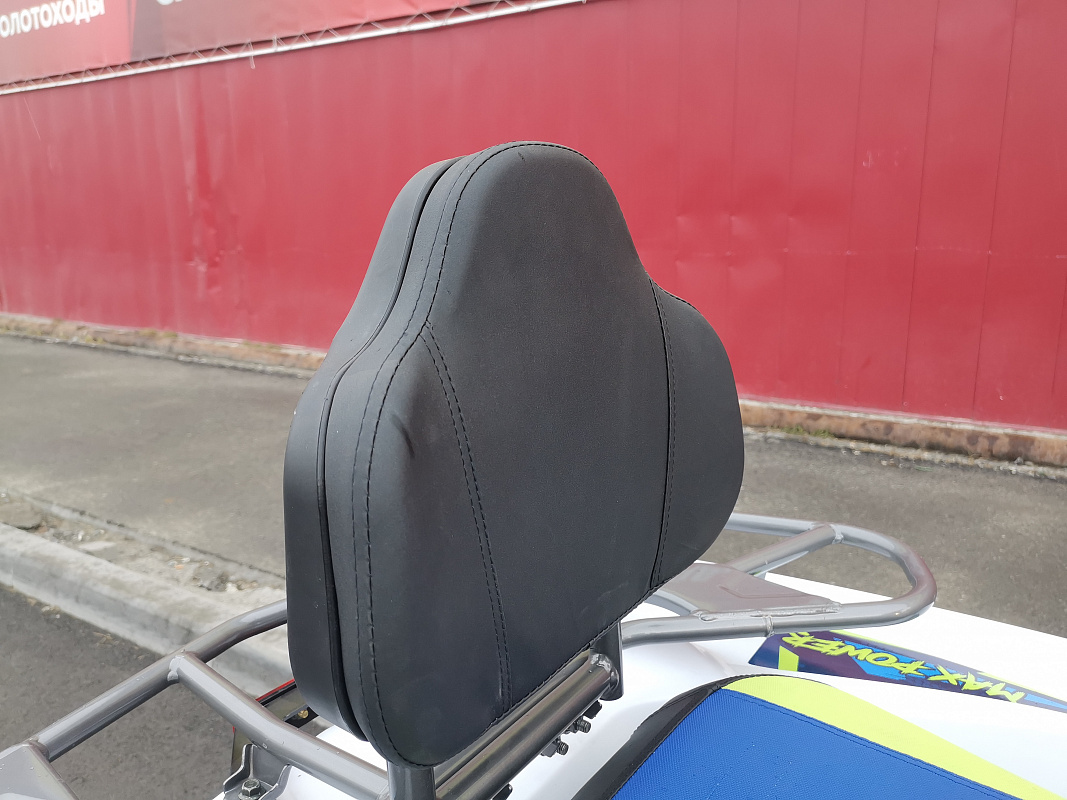 Квадроцикл PROMAX RENEGADE 280 LUX (2025) в Норильске