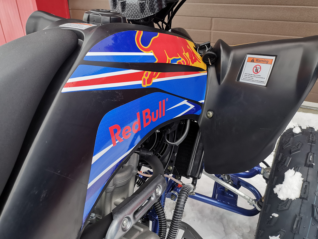 Квадроцикл PROMAX RAPTOR 300 NEW RedBull в Норильске