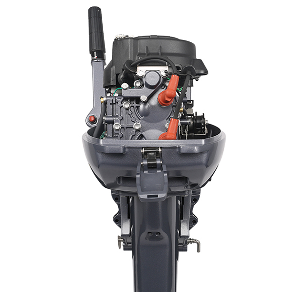 ЛОДОЧНЫЙ МОТОР ALLFA CG Т9,9 Limit в Норильске