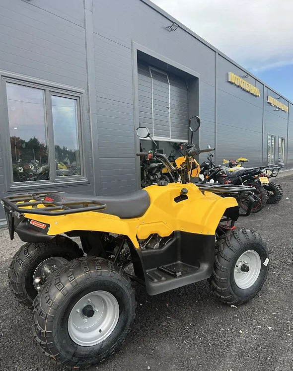КВАДРОЦИКЛ IRBIS ATV 250  в Норильске