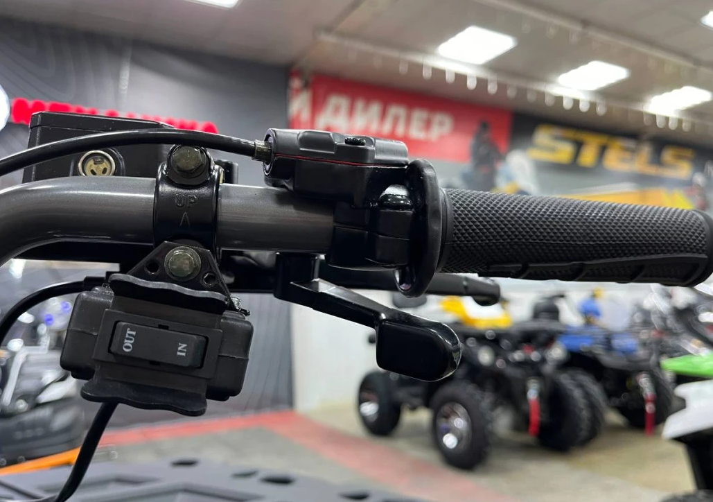 Квадроцикл PROMAX RENEGADE 300 LONG WINCH PRO (2025) в Норильске