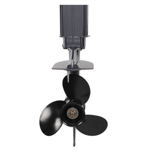 Лодочный мотор ALLFA CG Т40FW S в Норильске