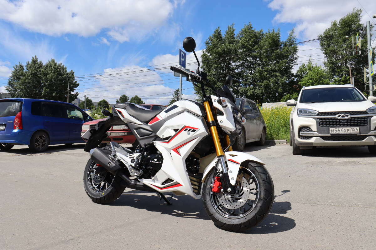 Мотоцикл PROMAX STRYKER 200(49) 2.0 в Норильске