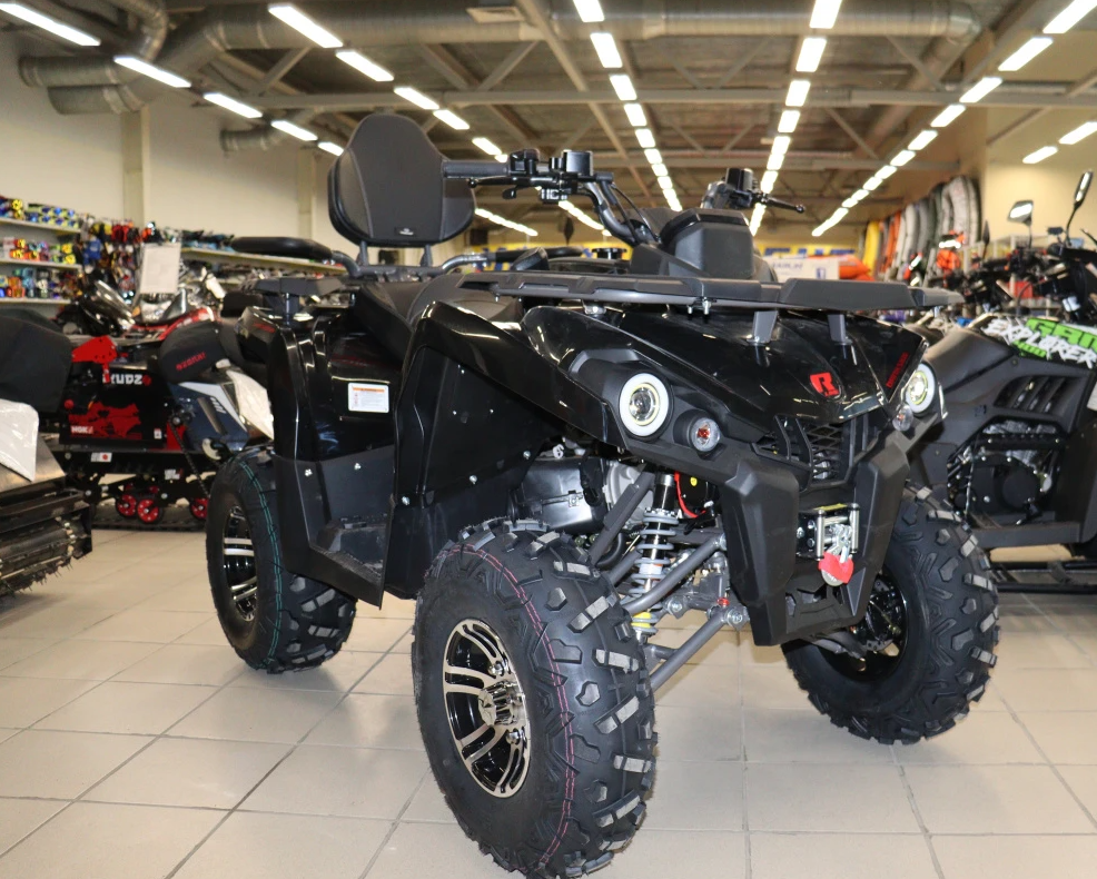 Квадроцикл PROMAX RENEGADE 300 LONG WINCH PRO (2025) в Норильске