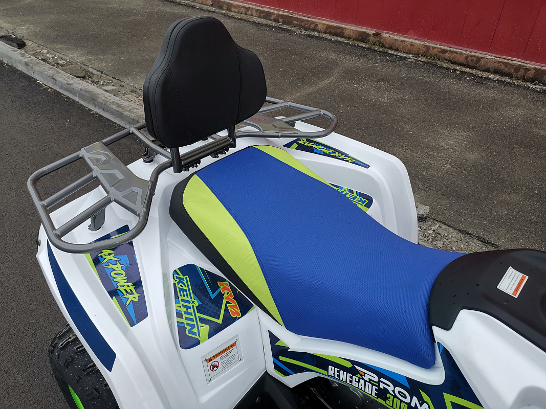 Квадроцикл PROMAX RENEGADE 280 LUX (2025) в Норильске