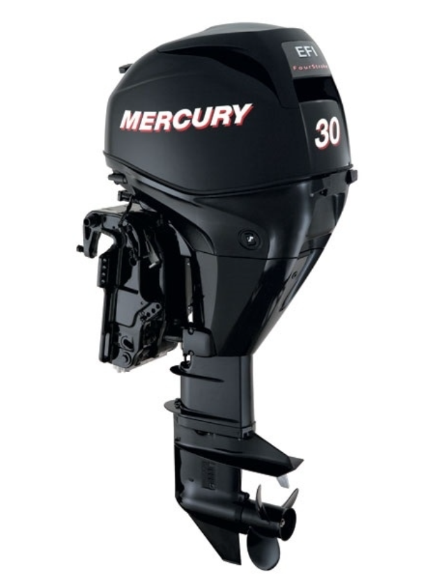 ЛОДОЧНЫЙ МОТОР MERCURY  F 30 ELH GA EFI в Норильске