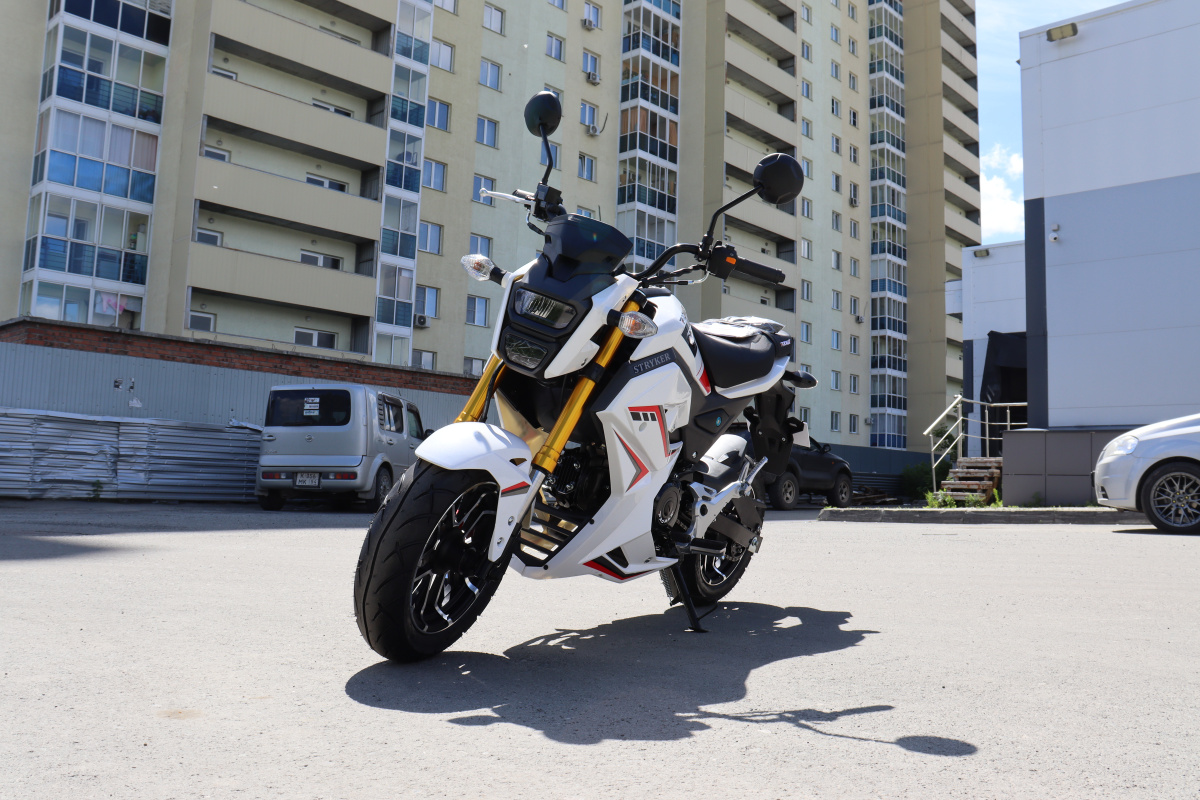 Мотоцикл PROMAX STRYKER 200(49) 2.0 в Норильске