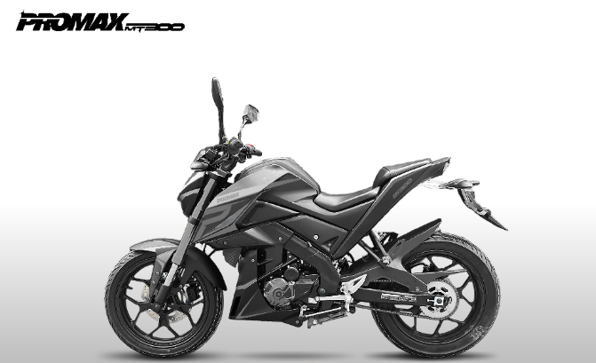 Мотоцикл PROMAX MT300 в Норильске