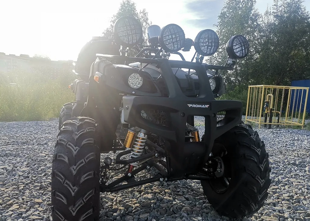 Квадроцикл PROMAX LEO 300 Max (кардан) в Норильске