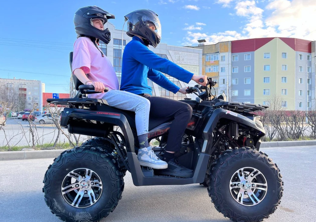 Квадроцикл PROMAX RENEGADE 300 LONG WINCH PRO (2025) в Норильске