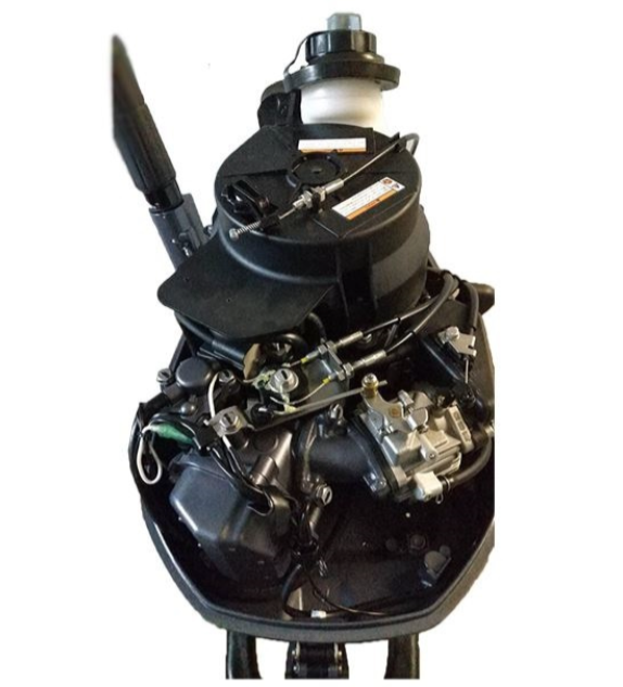 Лодочный мотор ALLFA CG F6 в Норильске