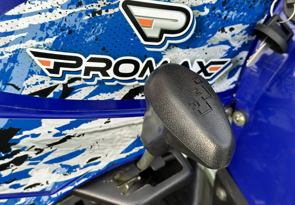 Квадроцикл PROMAX ATV 250 MAX (2025) в Норильске