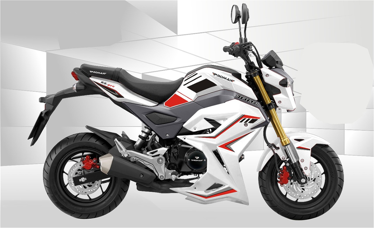 Мотоцикл PROMAX STRYKER 200(49) 2.0 в Норильске