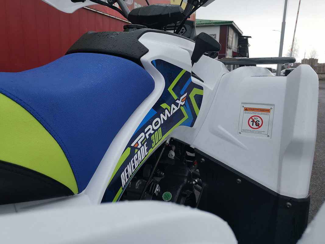 Квадроцикл PROMAX RENEGADE 280 LUX (2025) в Норильске