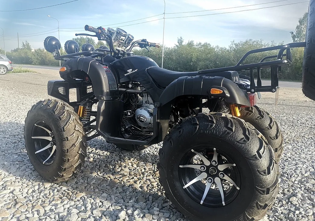 Квадроцикл PROMAX LEO 300 Max (кардан) в Норильске