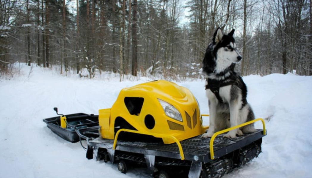 Мотобуксировщик LEBEDEV MOTORS ВОЛКОДАВ POWER V13 в Норильске