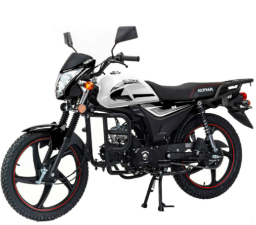 Мопед MOTOLAND (МОТОЛЕНД) Альфа RS 11 (LM48-B) в Норильске