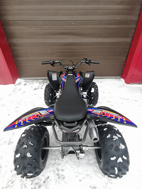 Квадроцикл PROMAX RAPTOR 300 NEW RedBull в Норильске