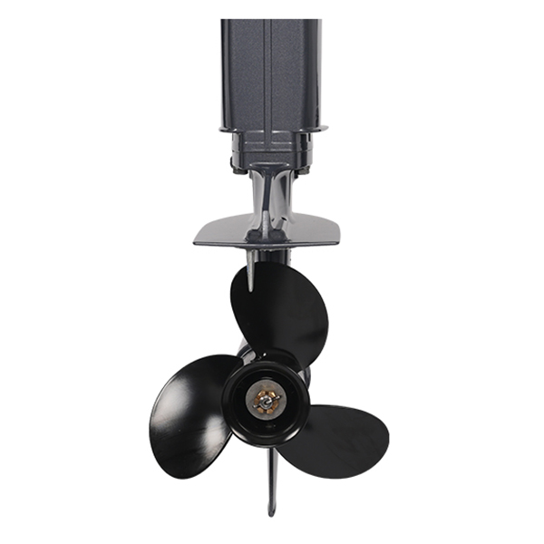 ЛОДОЧНЫЙ МОТОР ALLFA CG T30 FW S в Норильске