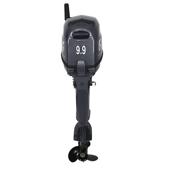 Лодочный мотор ALLFA CG Т9.9(20)MAX в Норильске