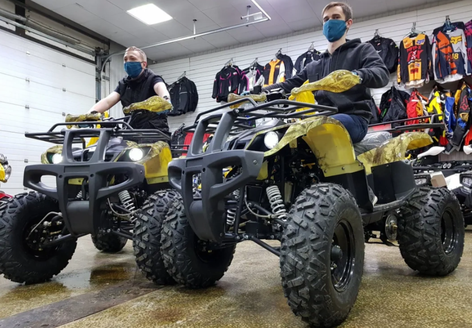 Квадроцикл PROMAX ATV 250 (2025) в Норильске