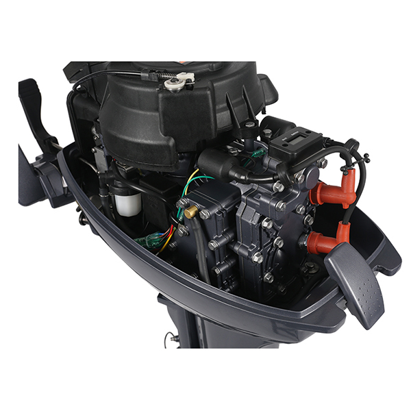 ЛОДОЧНЫЙ МОТОР ALLFA CG Т9,9 Limit в Норильске