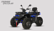 Квадроцикл PROMAX TAURUS 300 MAX-PRO LONG в Норильске