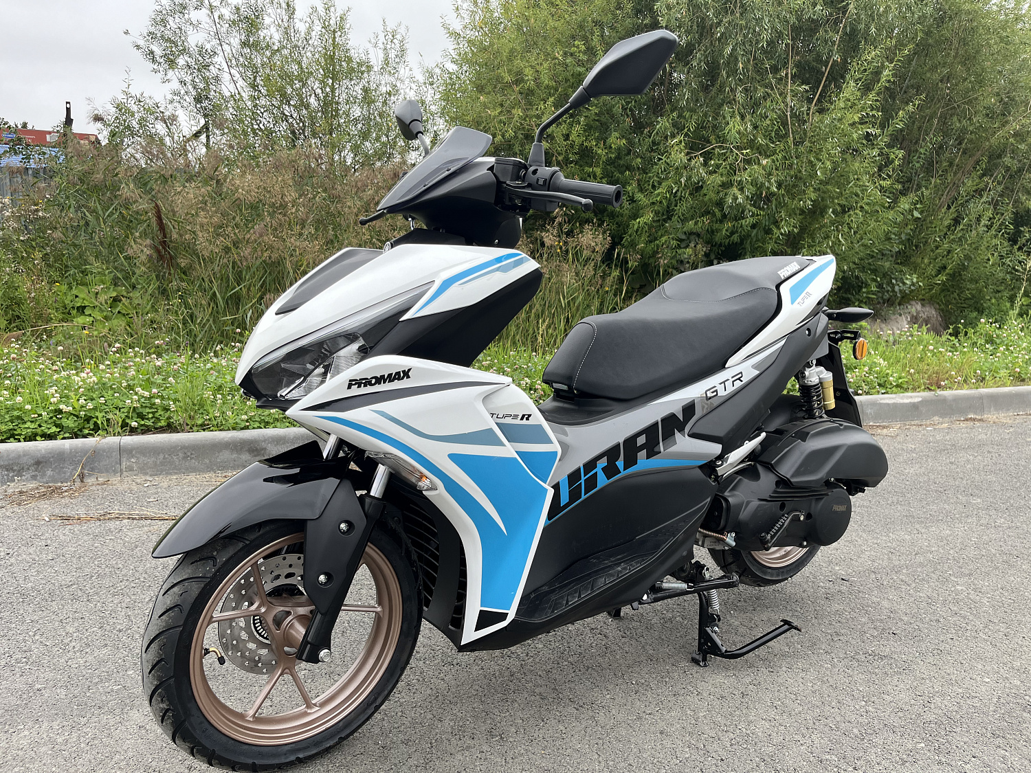 Скутер PROMAX TURAN 250 (49) в Норильске