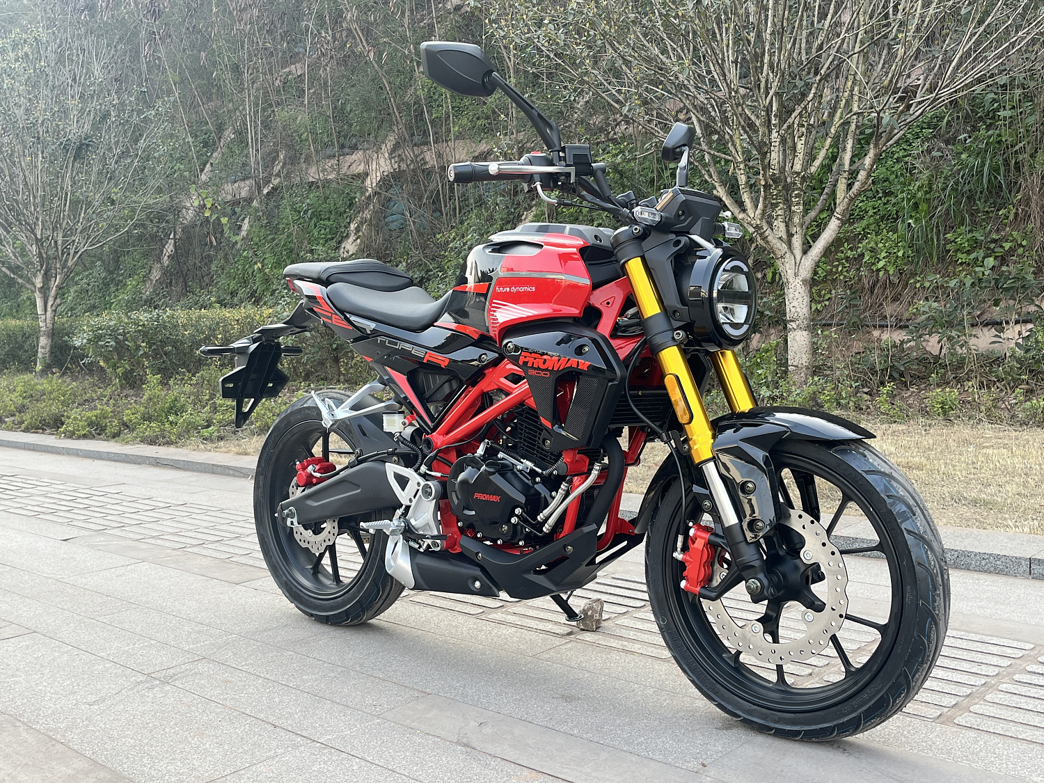 Мотоцикл PROMAX CB300 в Норильске