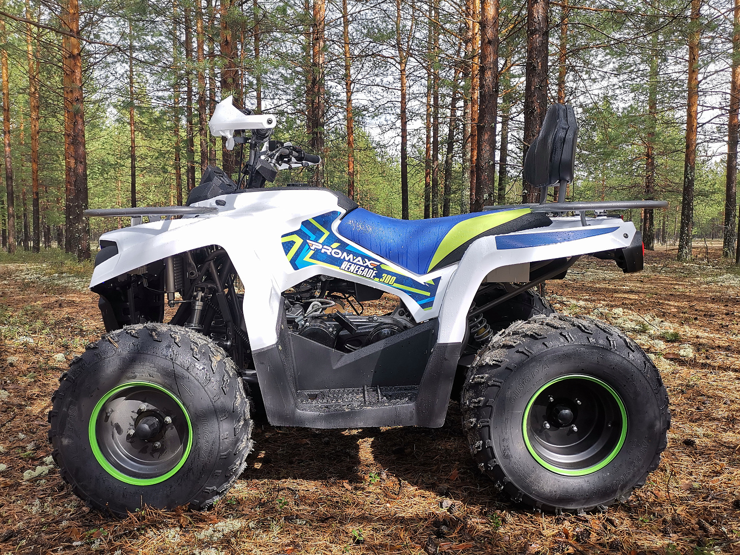 Квадроцикл PROMAX RENEGADE 280 (2025) в Норильске