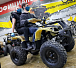 Квадроцикл PROMAX ATV 250 (2025) в Норильске