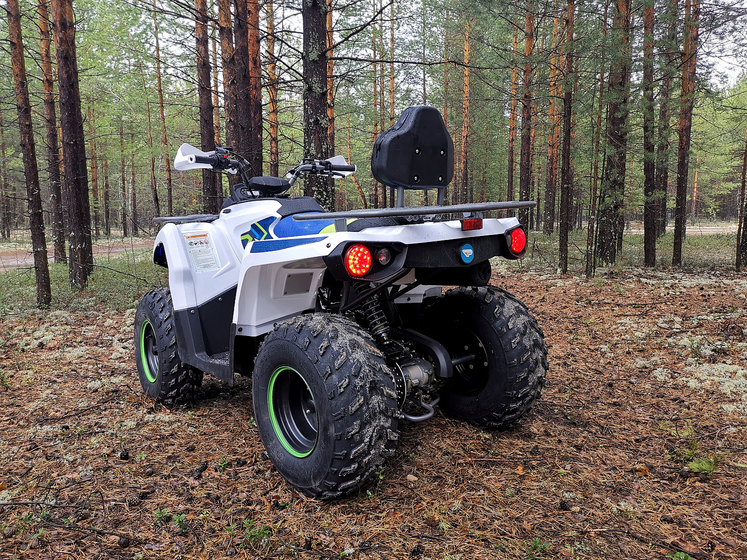 Квадроцикл PROMAX RENEGADE 280 (2025) в Норильске