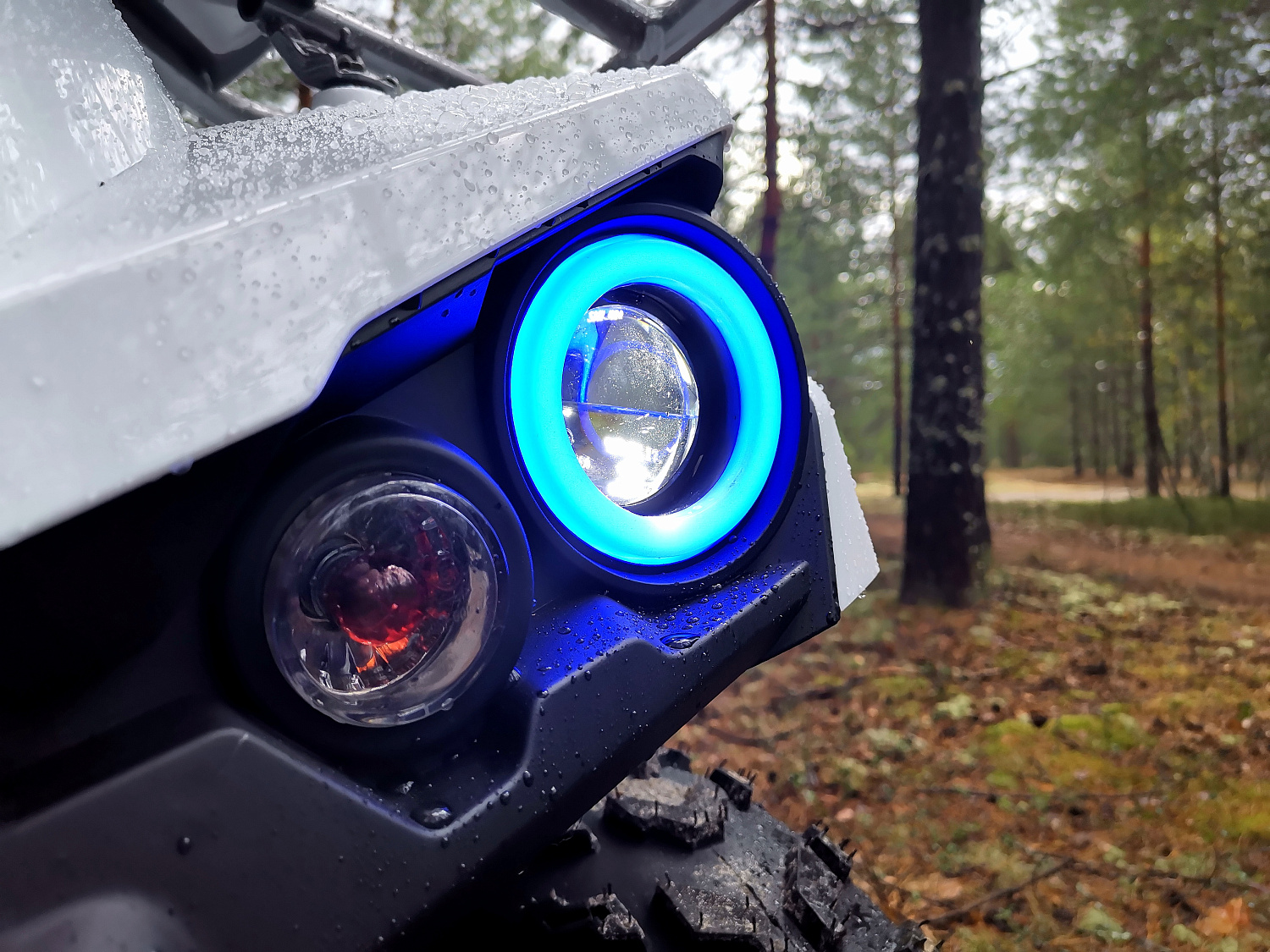 Квадроцикл PROMAX RENEGADE 280 (2025) в Норильске