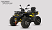 Квадроцикл PROMAX TAURUS 300 MAX-PRO LONG в Норильске